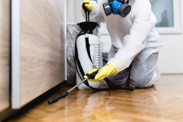 Best Pest Control for Homes  in Hemlock, MI