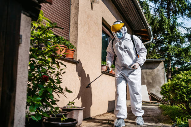 Best Commercial Pest Control Services  in Hemlock, MI