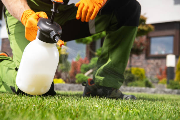 Best Wasp Removal Services  in Hemlock, MI