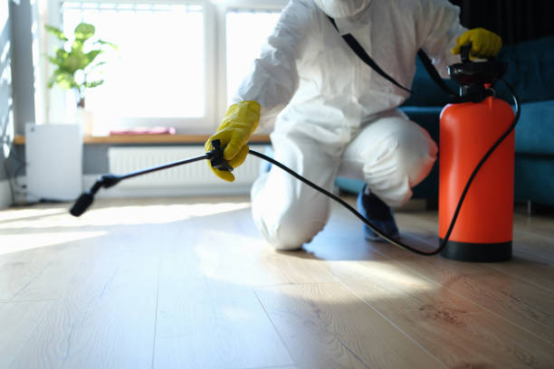 Reliable Hemlock, MI Pest Control Solutions