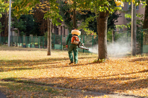 Best Pest Prevention Services  in Hemlock, MI