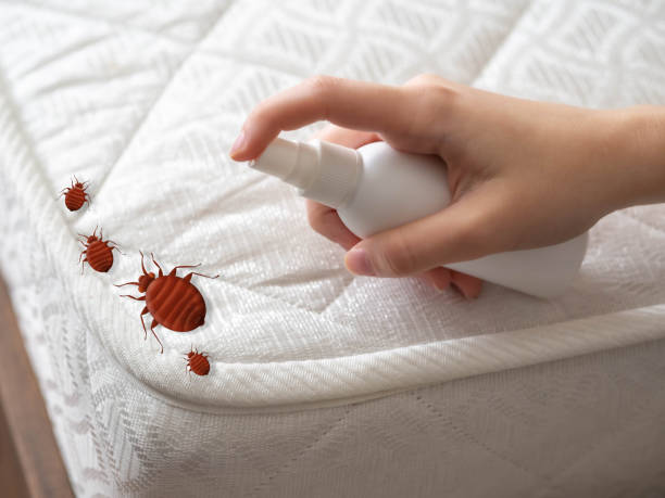 Best Pest Control Cost  in Hemlock, MI