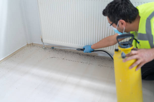 Best Local Pest Control Services  in Hemlock, MI